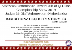 Rambitionz Celtic Ty Storm CA.png